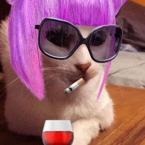 Meet your Posher, Aaron